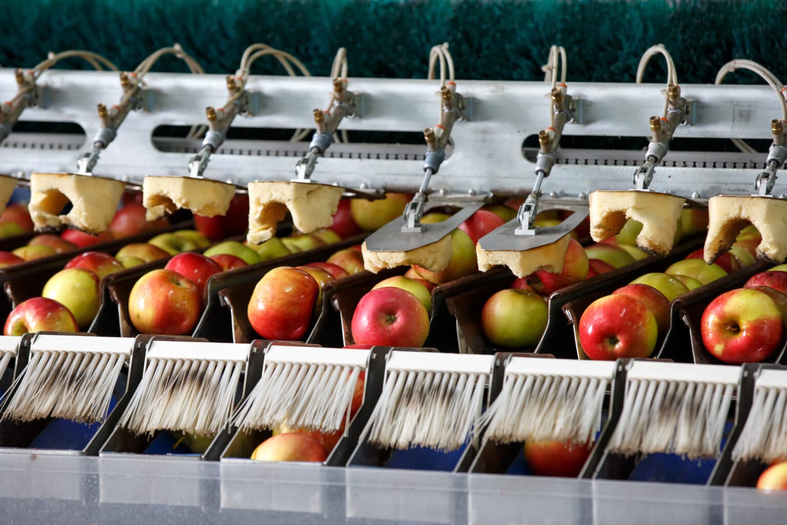 Mit Streifenbürsten wird Obst gewaschen, poliert und transportiert.